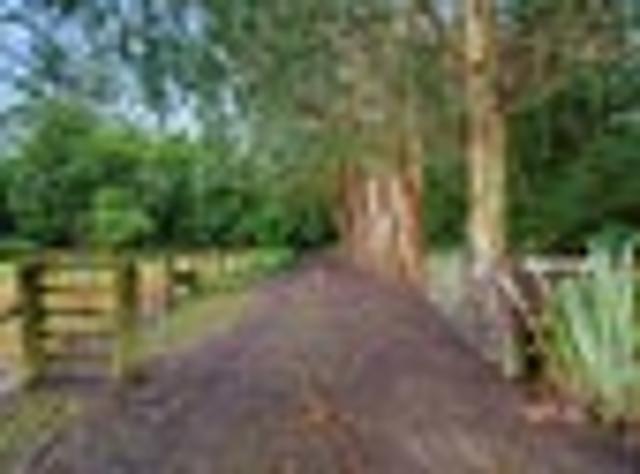 Ngaturi Bush Rural Privacy & Family Living