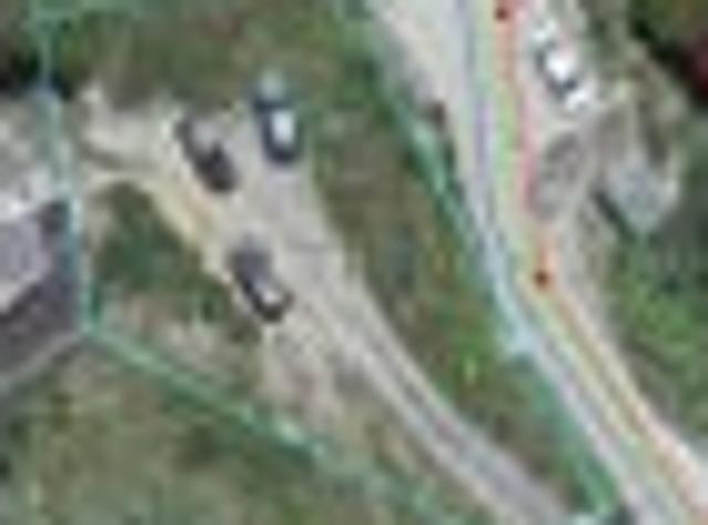 Ngaio Section
