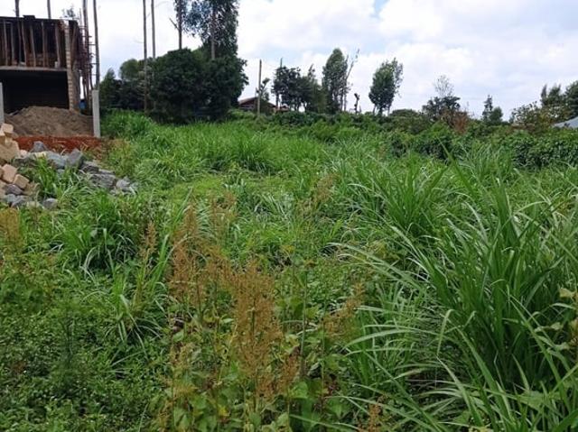 Ngecha 50*100 Plot for Sale