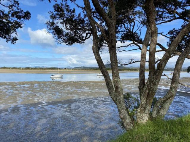ngunguru, 2 bedrooms
