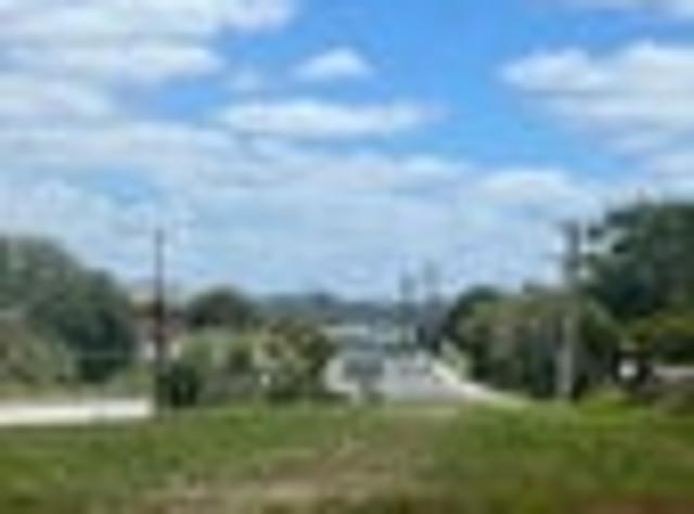 Ngunguru Section