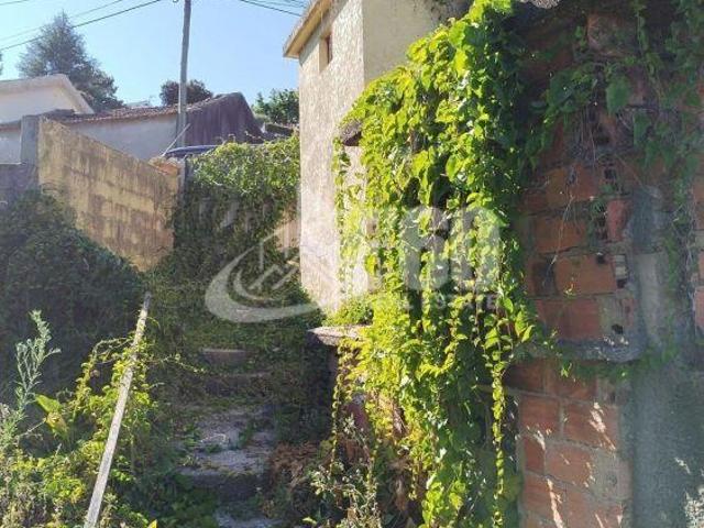 ND | 26063853136