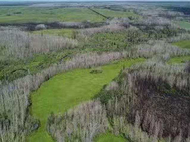 Ne W5, Rural Northern Sunrise County, AB, T0H 2R0 farm for s.