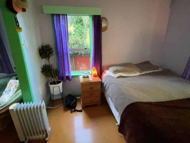 Neat and Tidy One Bedroom