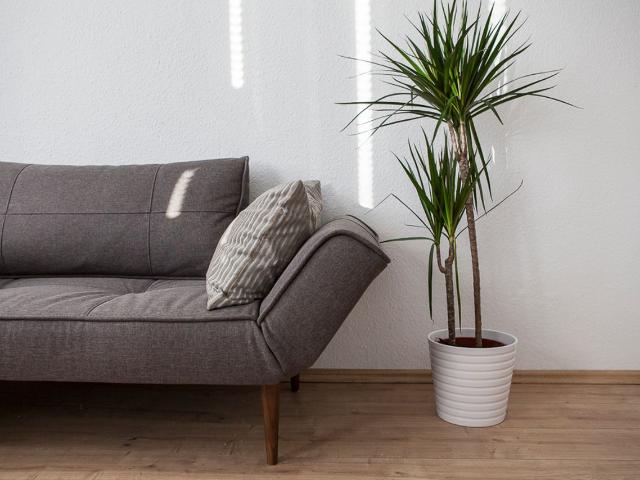 Neat and cozy studio Charlottenburg, Berlin Amsterdam Apartments for Rent