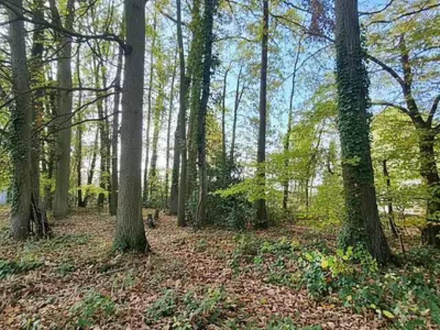 Neauphle le Château 78640 Achat / Vente terrain