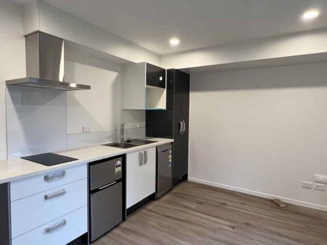 Near New 1 bedroom studios avail