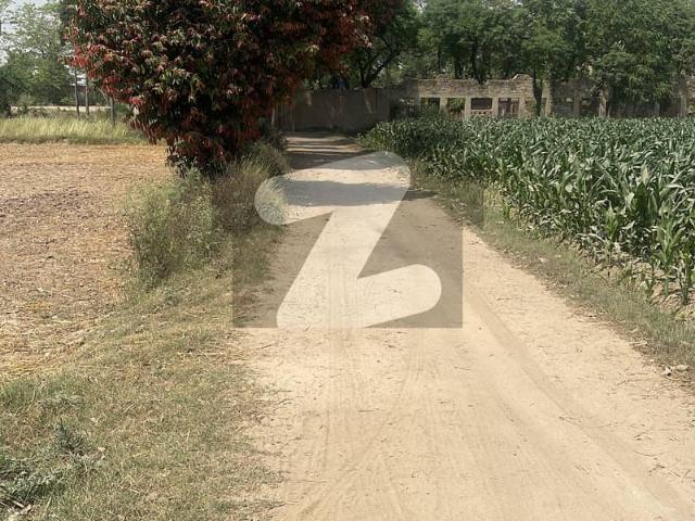 3.5 Kanal Land For Sale Canal View Farm House | Mustafabad Liliani