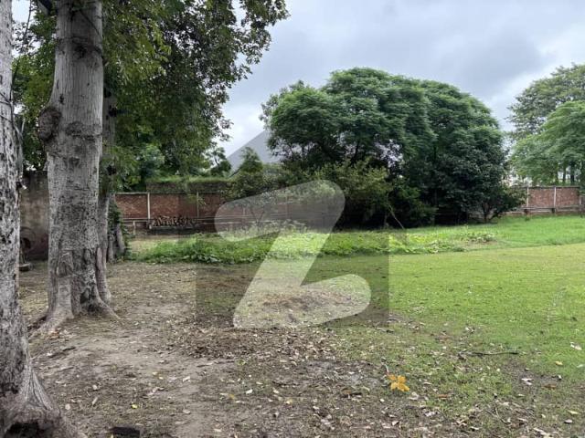 Near eme dha back of canal road 7.5 kanal plot is available for