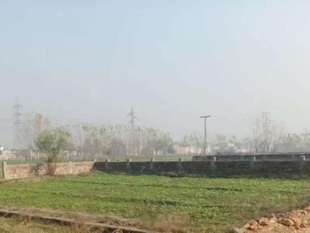 Near sheikh maltoon town taj town mardan near mardan medical complex Mardan ID 50512