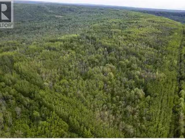 Near 206 Road, Dawson Creek, BC, V0C 2C0 farm for sale List.