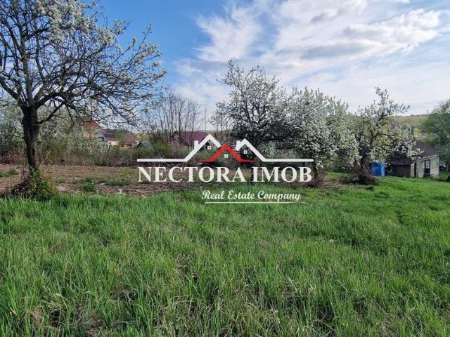 NECTORA IMOB Casa 70 mp cu teren 951 mp, front 16 mp, Paleu Centru