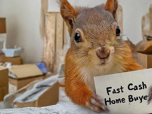 Need To Sell A Problem House Fast? Visit Www.fastcashhomebuyer.c