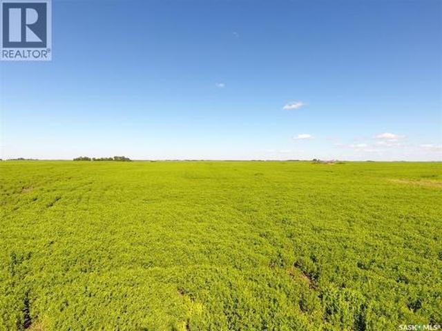 Neels Land, Francis Rm No. 127, SK, S0G 3S0 farm for sale | Listing ID SK041609 | Royal LePage