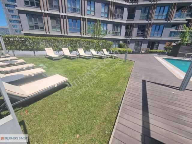 Nef 03 Yetkili Emlak Ofisinden Kiralık 1+1
