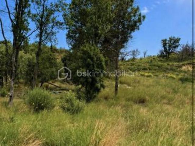 Néfiach Vente Terrain 66