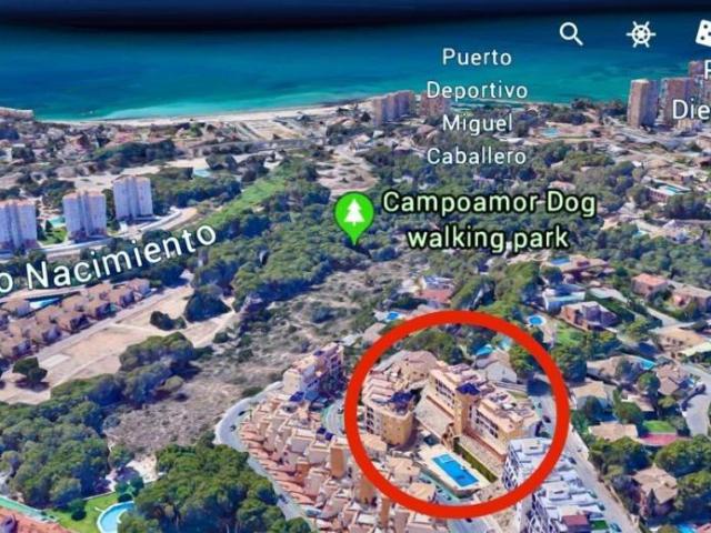 Negocio Dehesa De Campoamor ALICANTE 98461686