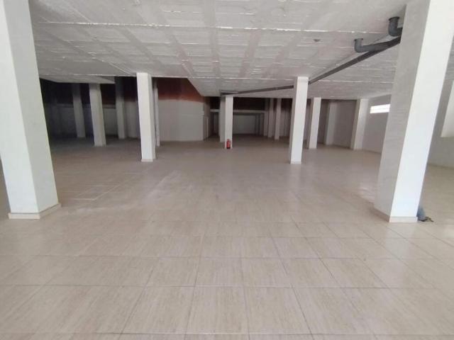 Negocio Alicante Alicante 97603758