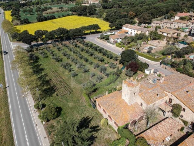 Negocio Castell Platja D Aro Girona 79079505