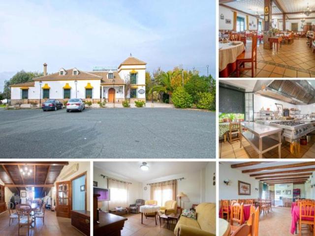 Negocio Castilblanco De Los Arroyos Sevilla LS97380825