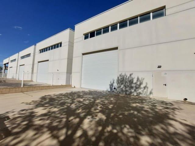 Negocio en alquiler en Amposta, Tarragona