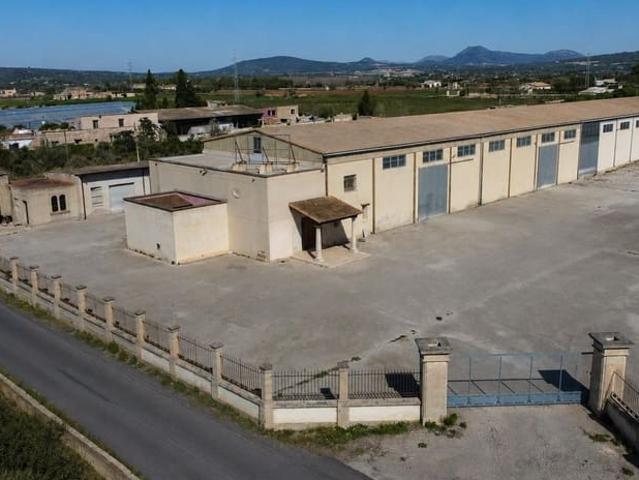 Negocio en venta en Manacor, Mallorca