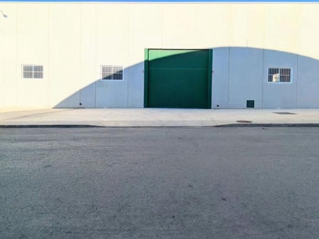 Negocio en venta en Crevillente / Crevillent, Alicante