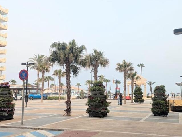 Local Comercial en alquiler en Fuengirola, Málaga Costa del Sol
