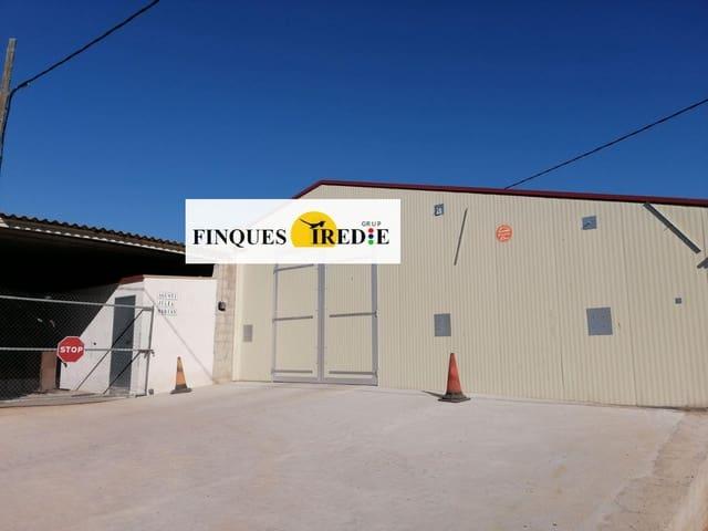 Negocio en venta en L'Ampolla, Tarragona Costa Dorada