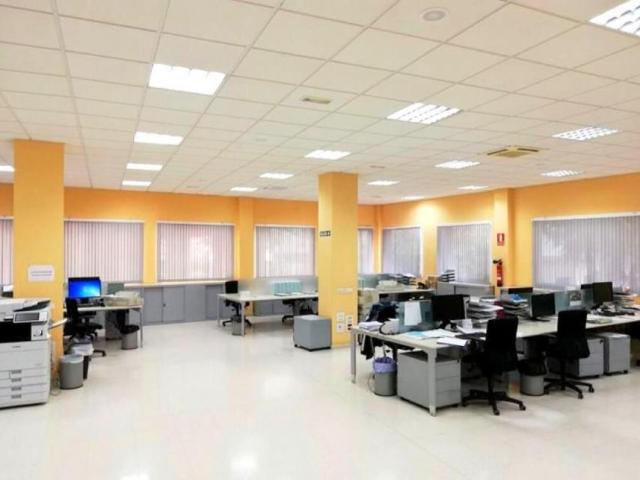 Negocio Estepona Málaga 89504714