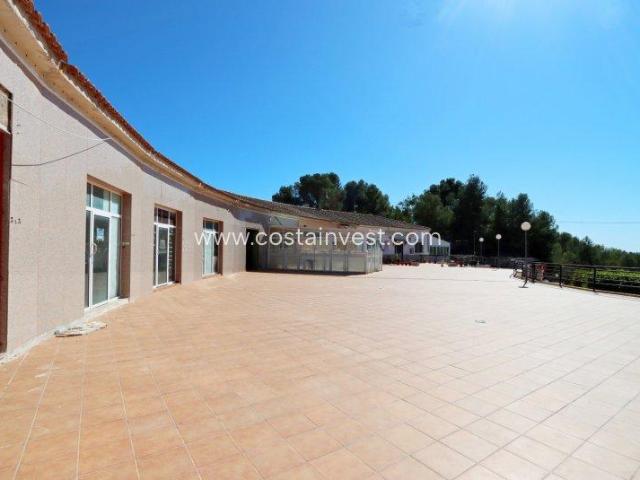 Negocio Pinar De Campoverde Costa Blanca 74143660