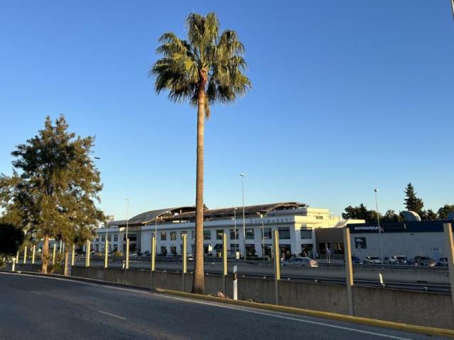 Negocio Sotogrande Cádiz 97908551