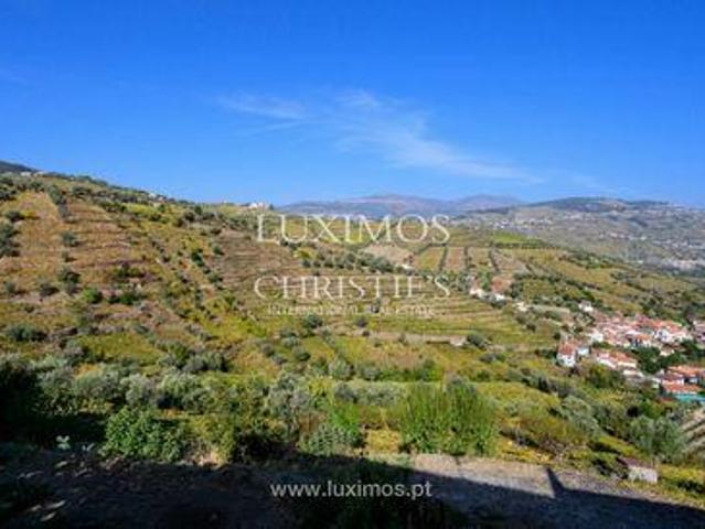 Negocios 5 quarto, Cambres VISEU DLS96439647