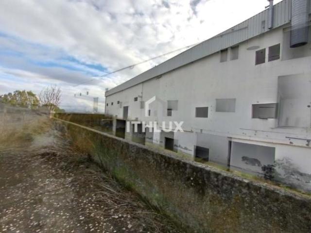 Negocios 1 quarto, Elvas Portalegre DS97085266
