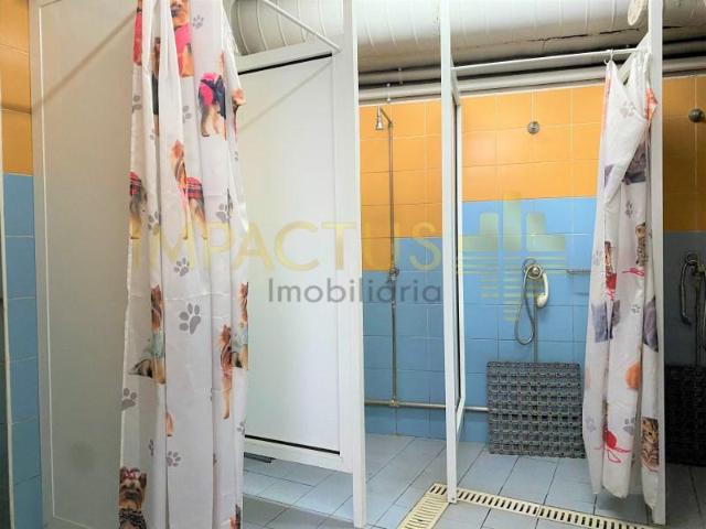 Negocios Trofa Trofa DLS101471730