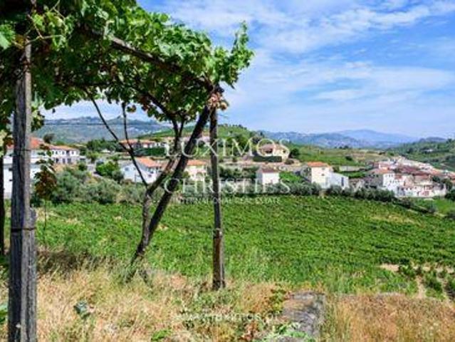 Negocios Lobrigos S.miguel e S.joão Baptista e Sanhoane VILA REAL DLS93391081