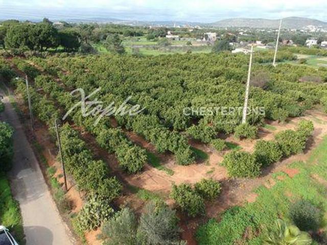 Negocios Loulé Faro DS92371944