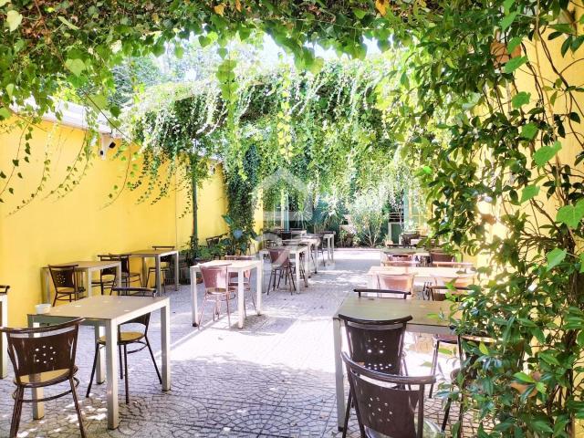 Negocios Porto Porto DLS66629727