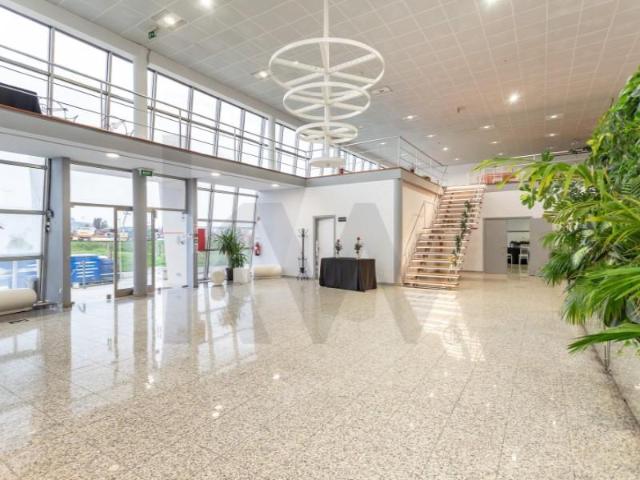 Negocios Santarém Santarém DLS100609830
