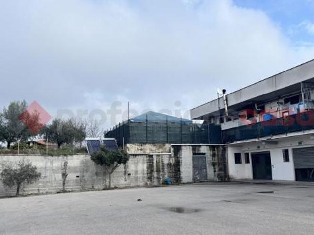 Negozio Alatri. Rif.: Cod. rif 3295123ACG
