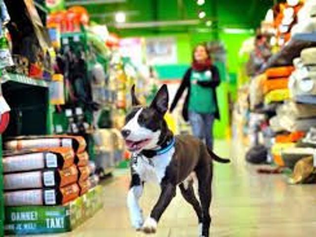 NEGOZIO DI TENDENZA DOVE ANCHE I VIPS COMPRANO X I LORO AMICI A 4 ZAMPE? ALLORA