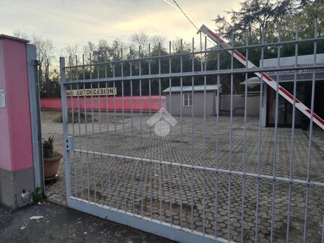 Negozio in affitto a Torino