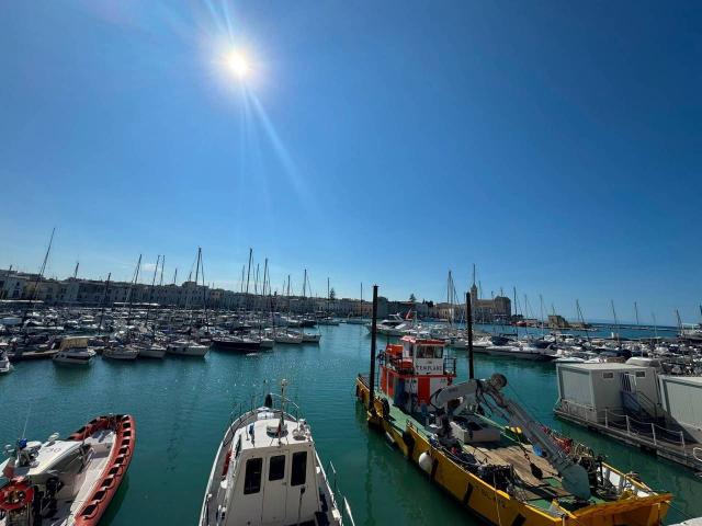 Negozio in affitto a Trani