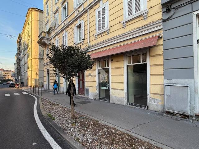 Negozio in affitto a Trieste