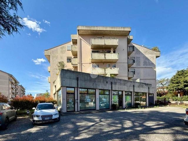 Negozio in affitto a Verona