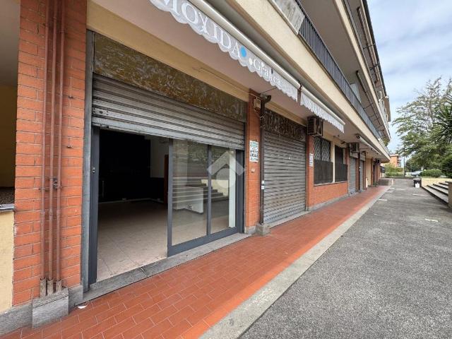 Negozio in affitto a Albano Laziale