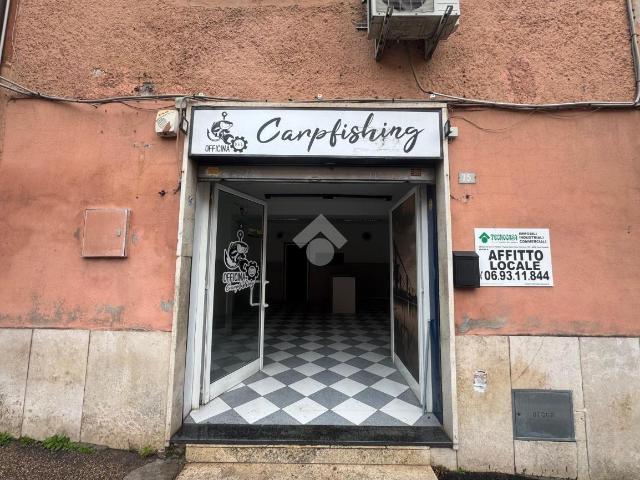 Negozio in affitto a Albano Laziale
