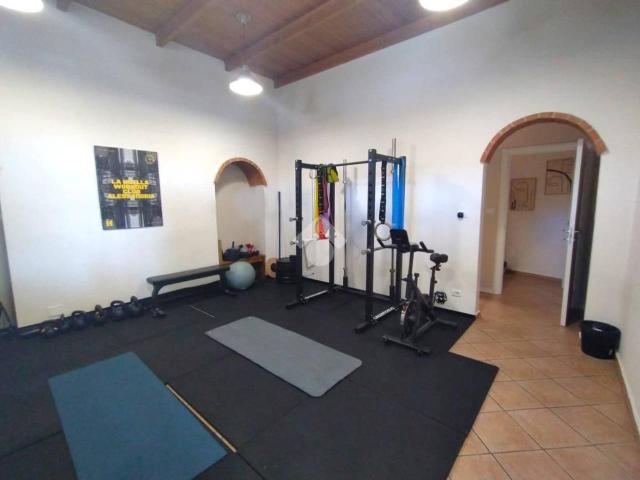 Negozio in affitto a Alessandria