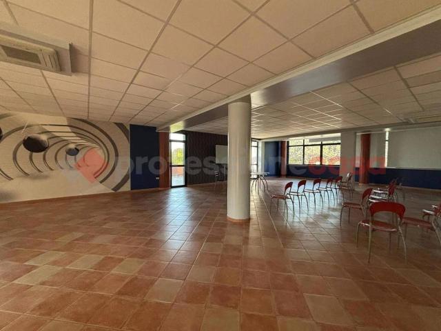 Negozio in affitto a Anagni