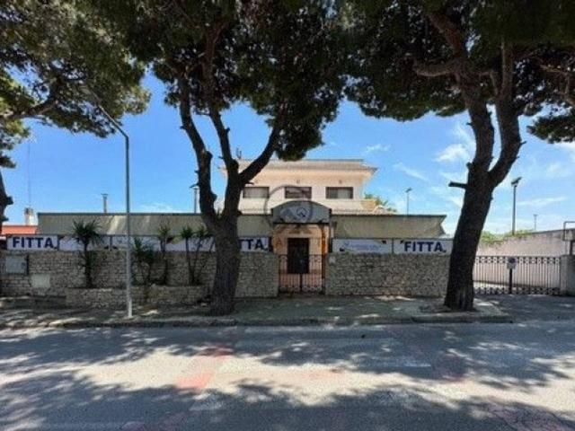 Negozio in affitto a Bisceglie